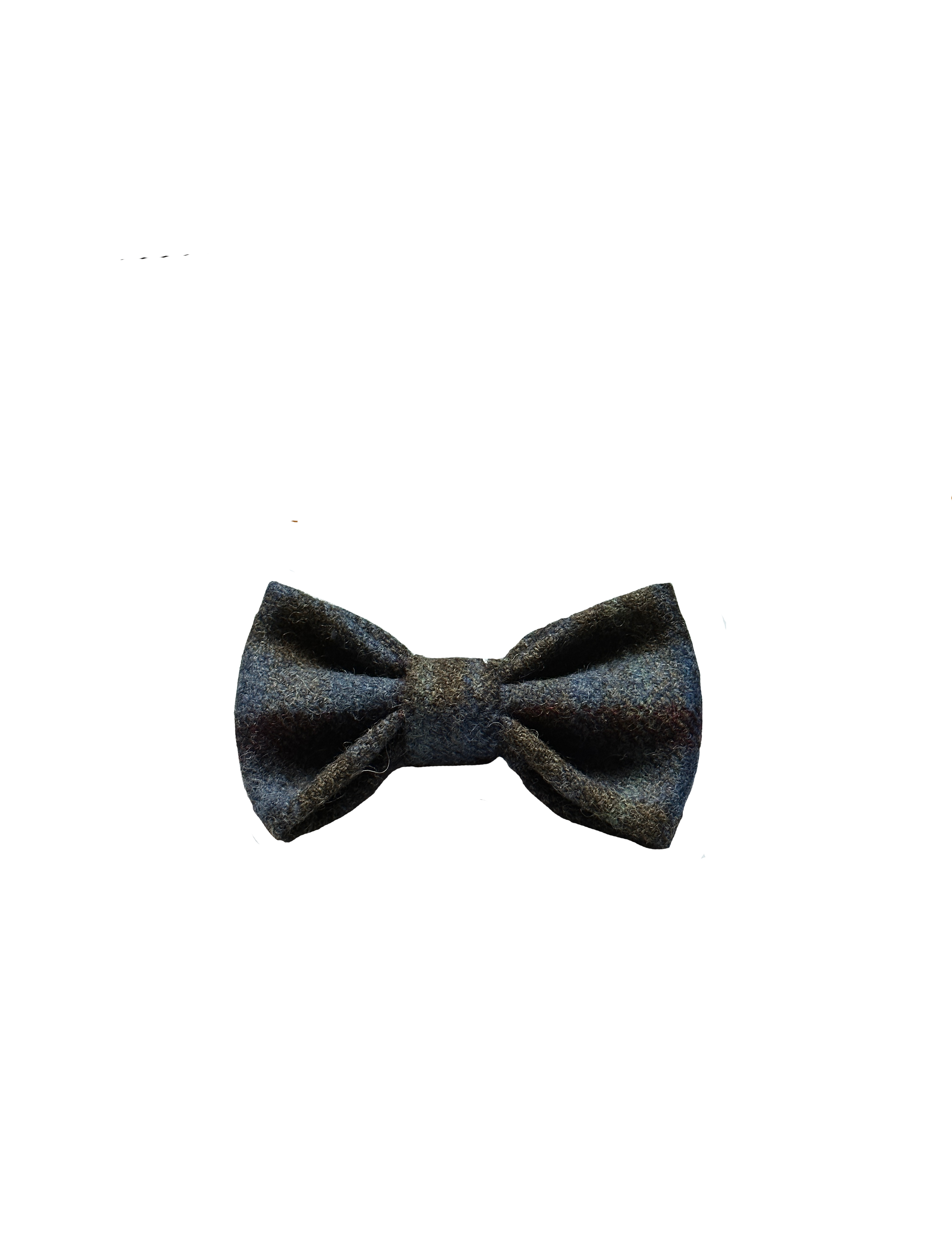 dogbowtiemull.png