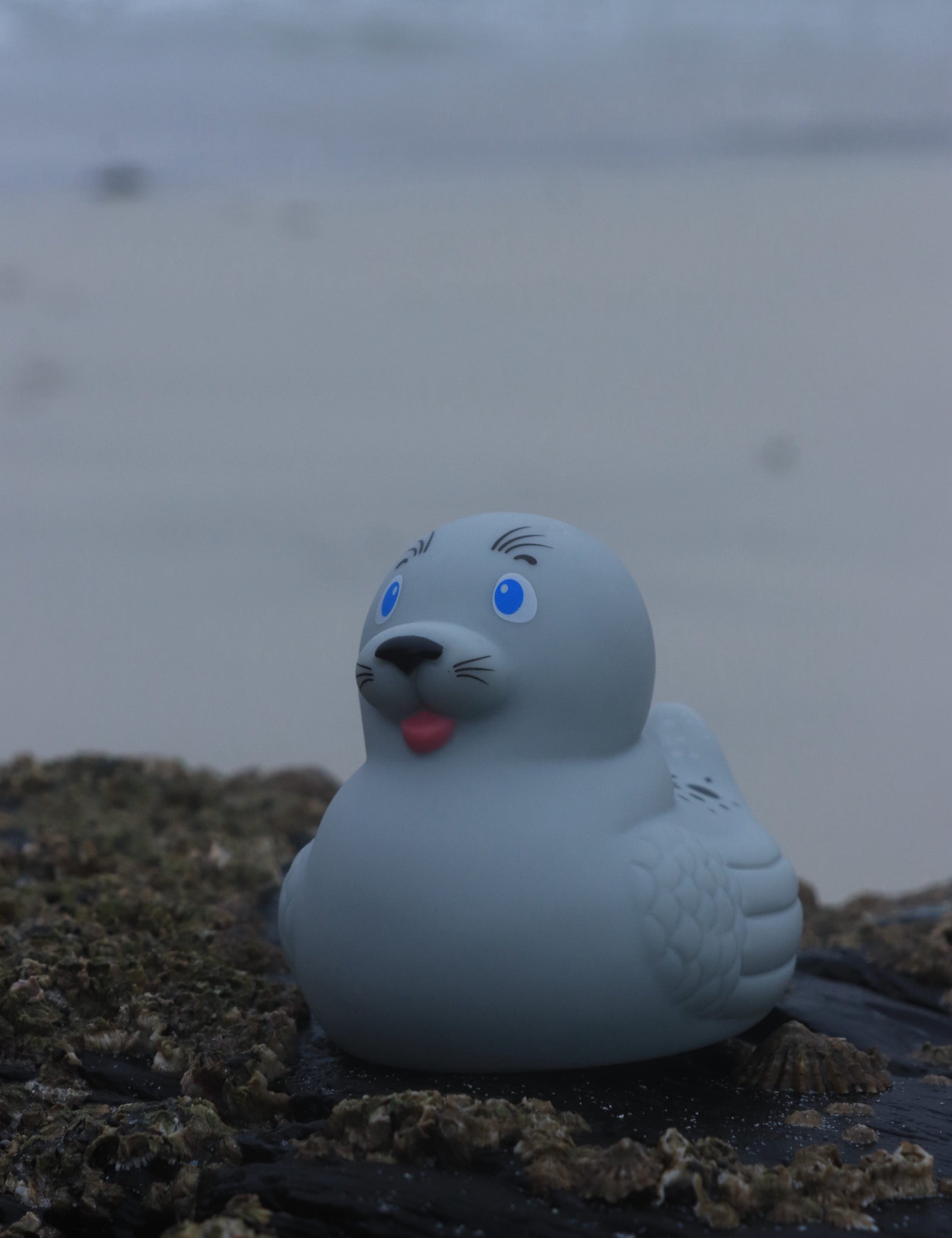 sealrubberduck.jpg