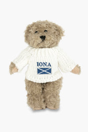 Teddy Bear with Iona Jumper